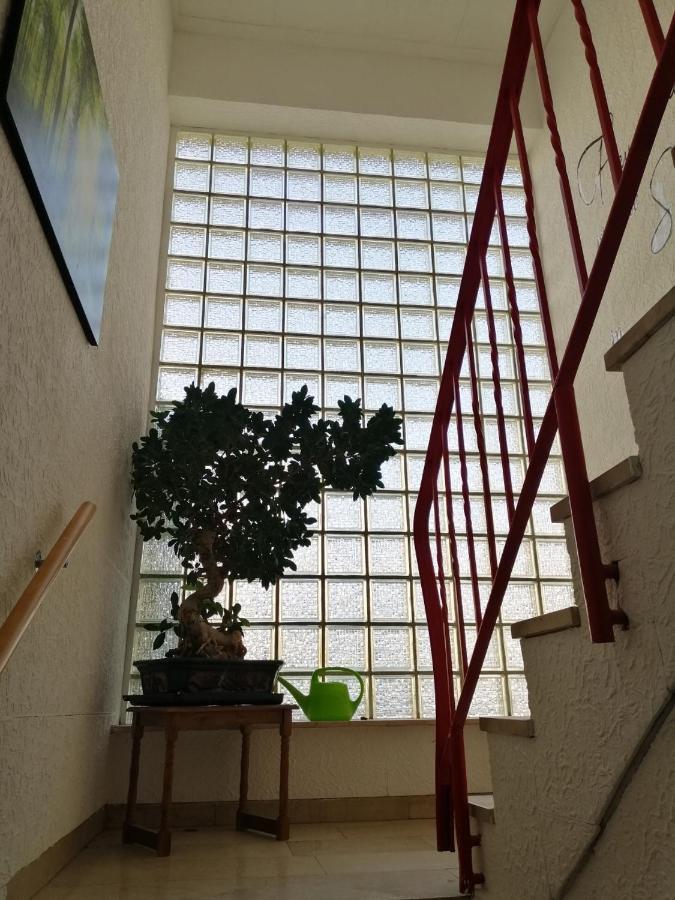 Ferienhaus Elwetritsche In Landau/Pfalz 랜다우인더펠즈 외부 사진